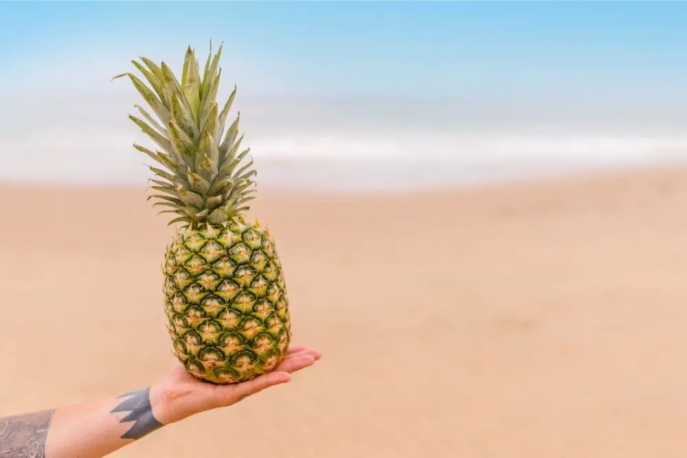 Pineapple Tattoo: Meaning And Design Ideas