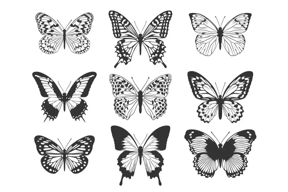 Butterfly Symbolism In Different Cultures