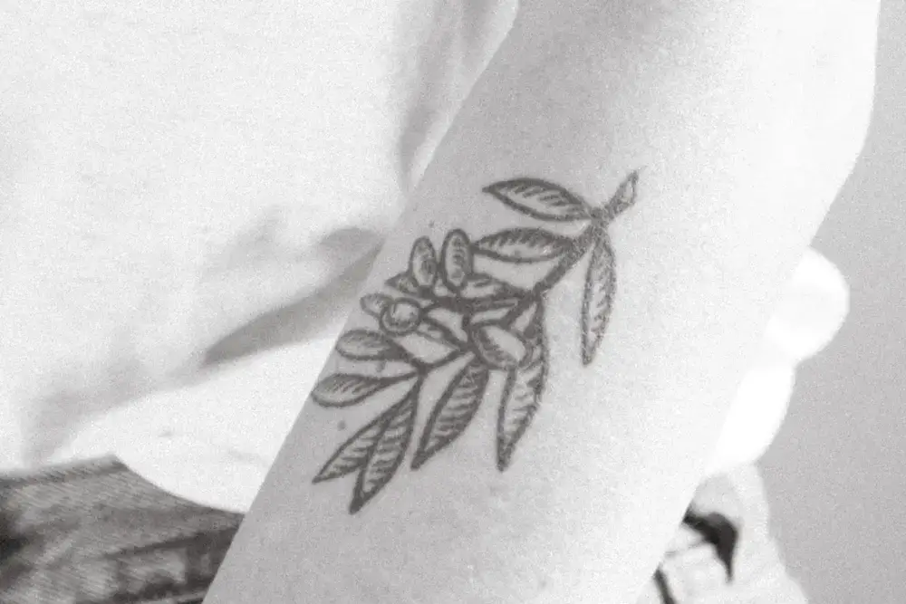 Olive Branch tattoos and its meaning