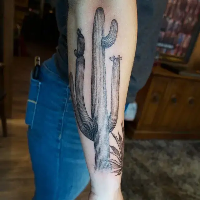 Cactus Tattoo Design on Arm