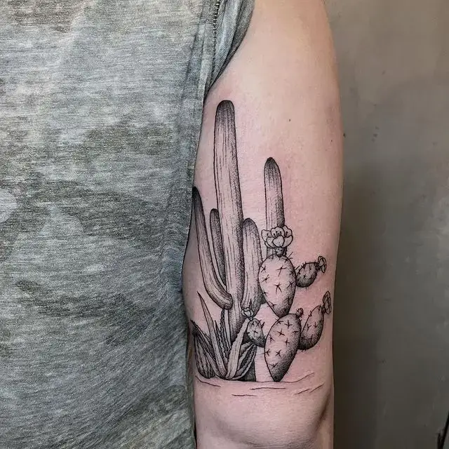 Cactus tattoo on arm
