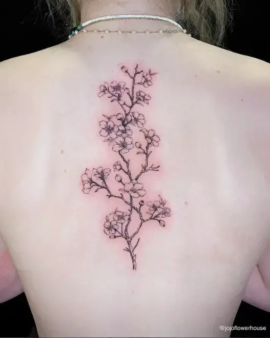 Cherry Blossom on Spine Tattoo