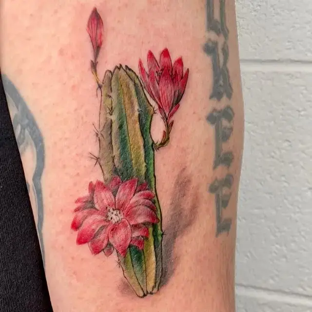 Colored Cactus Tattoo 