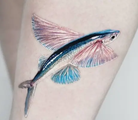 Ocean sunfish tattoo tribute  Emily S Damstra