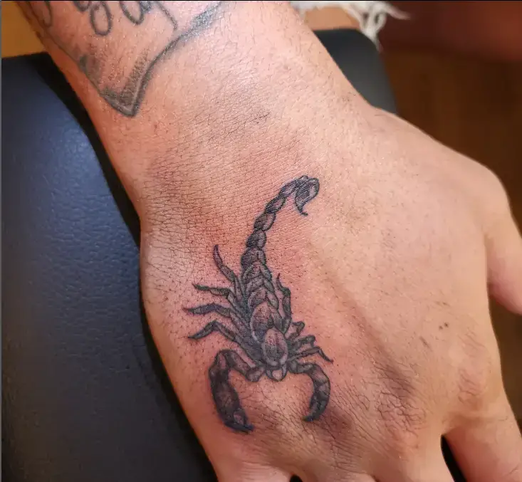 Perfect Scorpion Tattoo