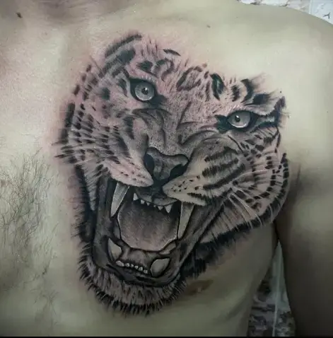 Colored Tiger Tattoo Chest Design